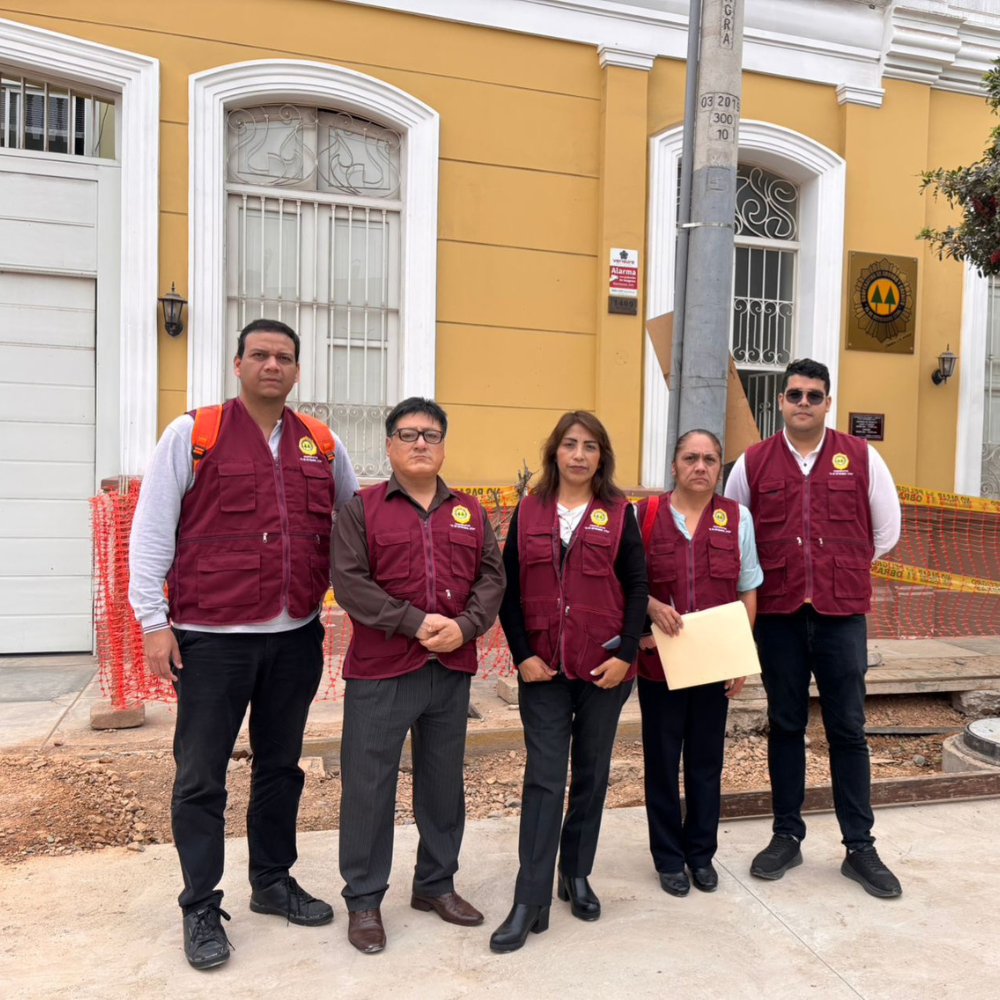 Brigadistas